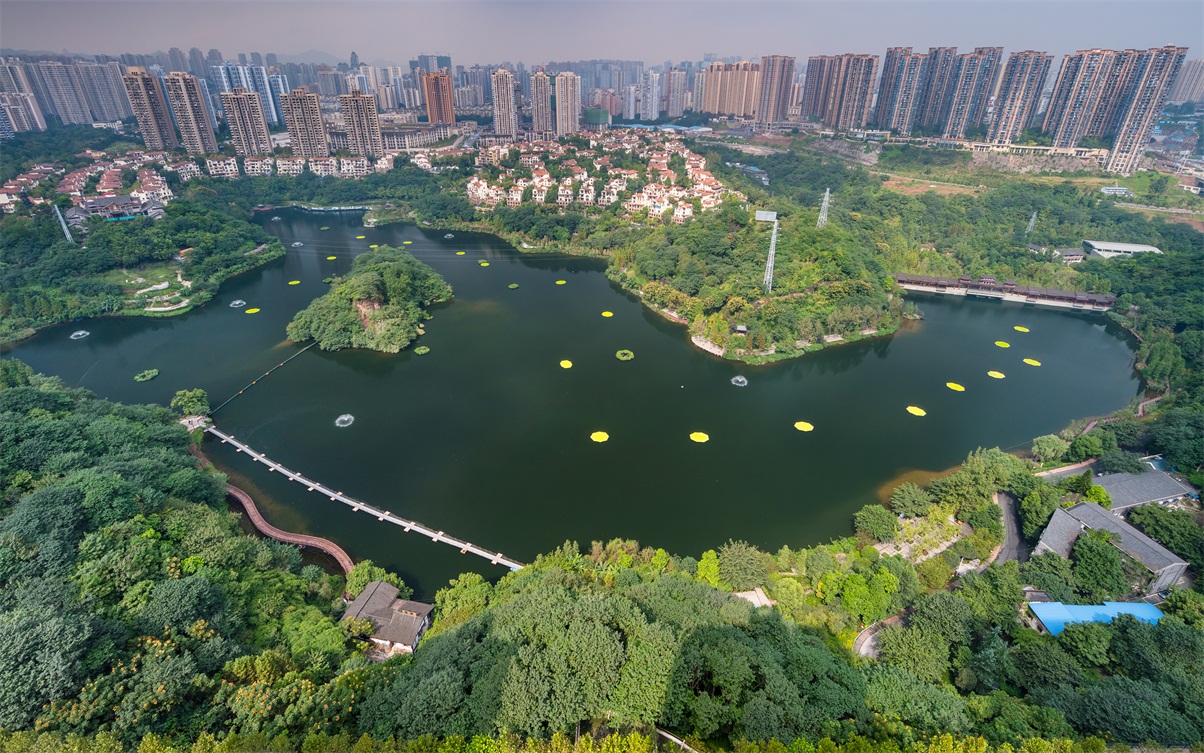 caiyun lake wetland park 重庆彩云湖国家湿地公园